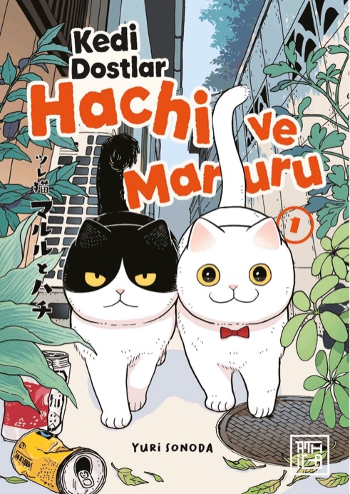 Kedi Dostlar: Hachi ve Maruru 1 manga kapağı, Türkçe çevirisi Sena Taşkın